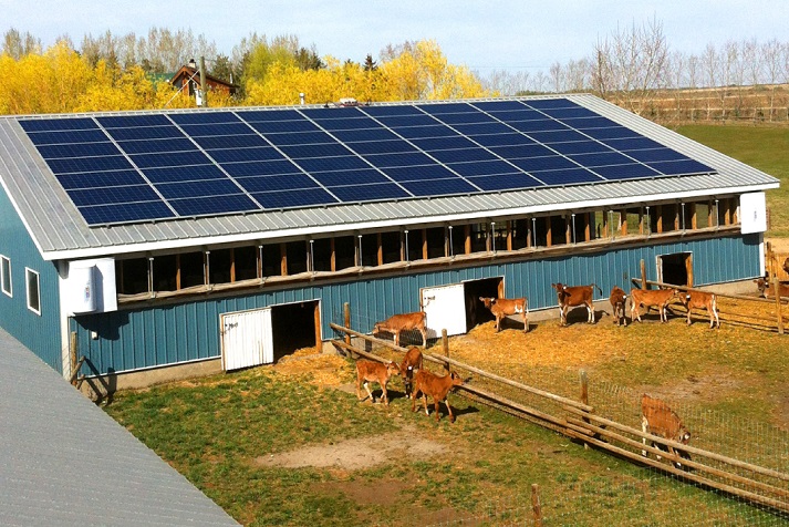 Điện mặt trời với nông nghiệp