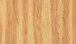 Sàn gỗ MalayFloor