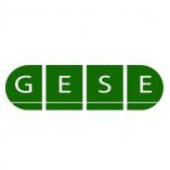 Công Ty Cổ Phần Dịch Vụ Thương Mại Điện Toàn Cầu (GESE)