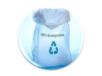 Hình ảnh đại diện