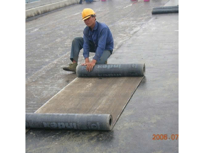 Hình ảnh đại diện