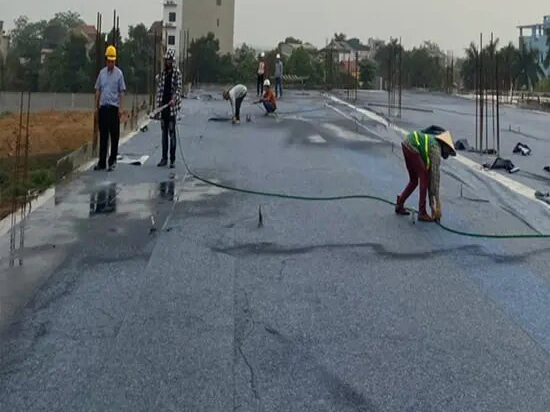 Hình ảnh đại diện