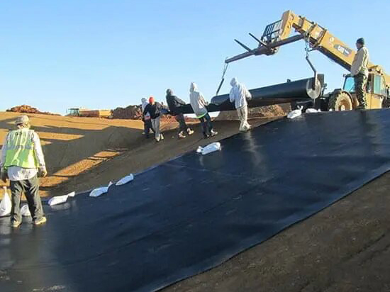 Hình ảnh đại diện