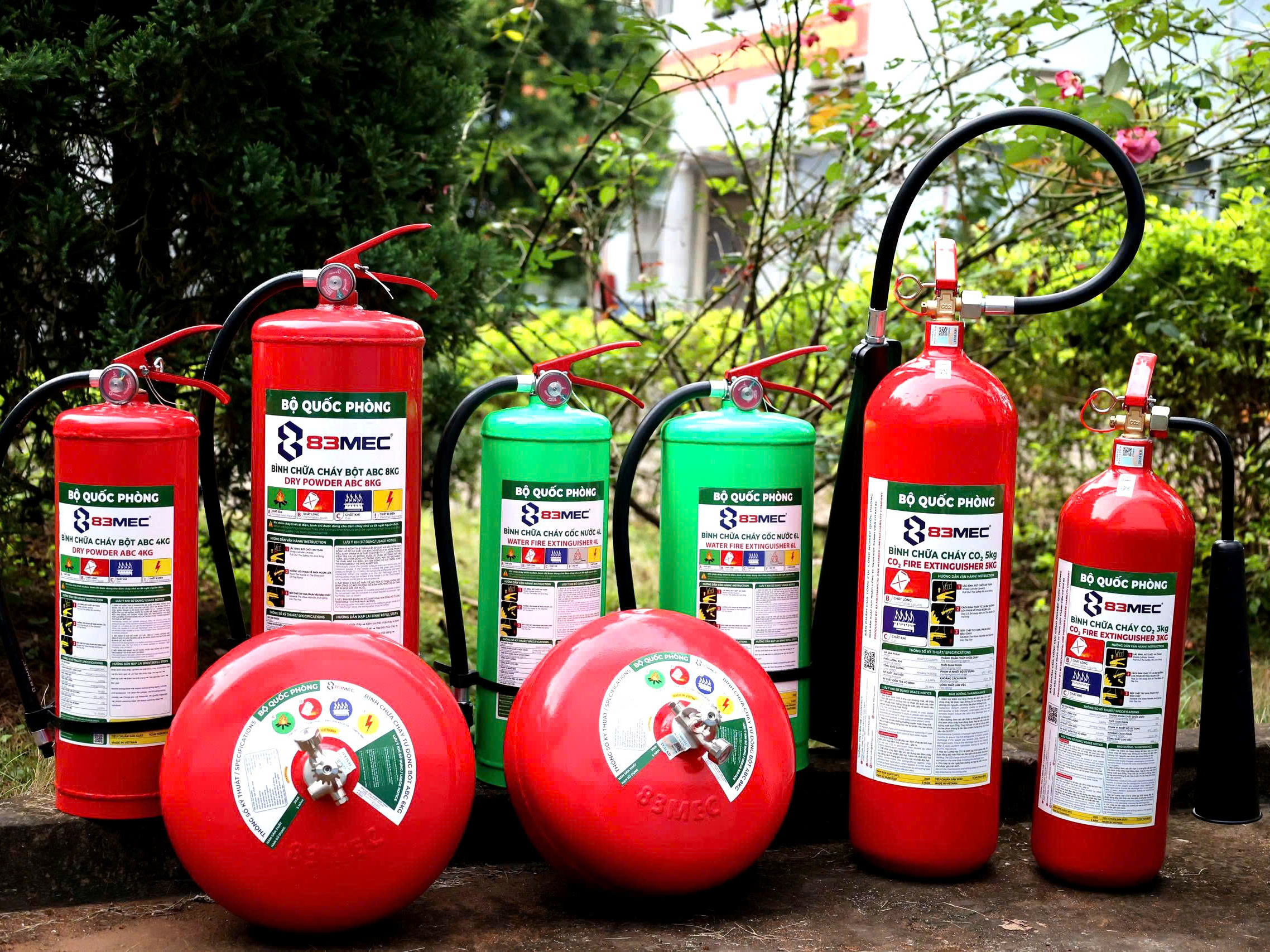 Hình ảnh đại diện