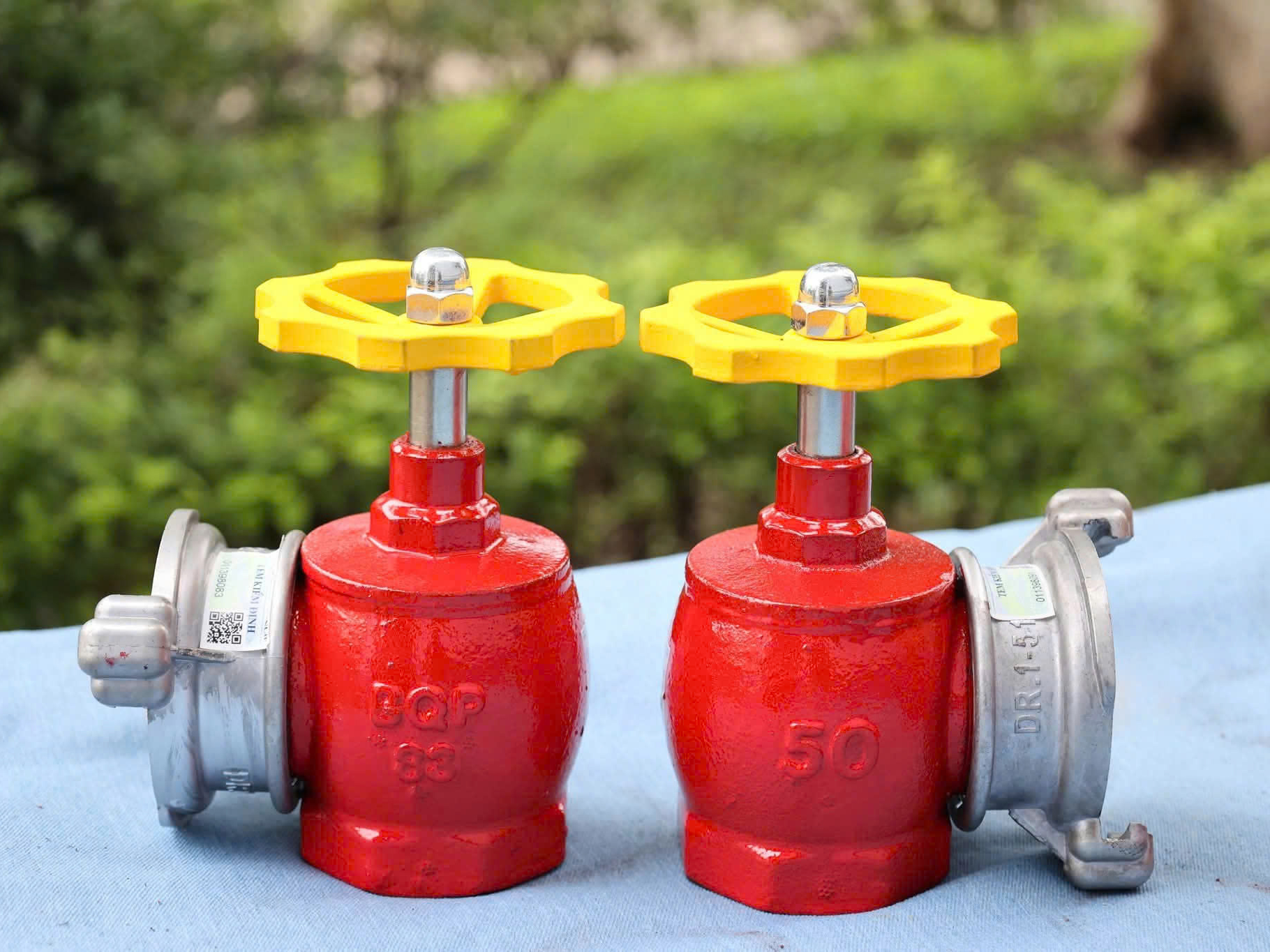 Hình ảnh đại diện