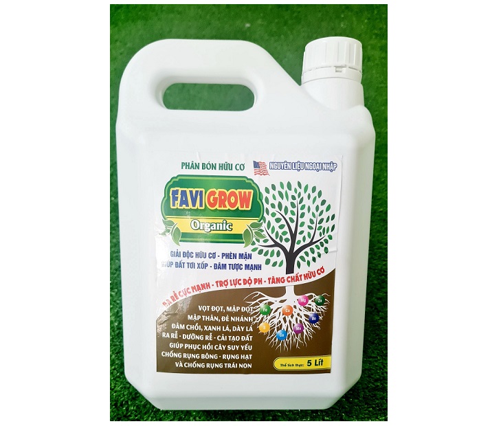 Hình ảnh đại diện