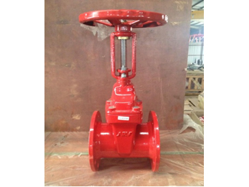 Hình ảnh đại diện