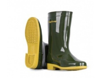 Hình ảnh đại diện