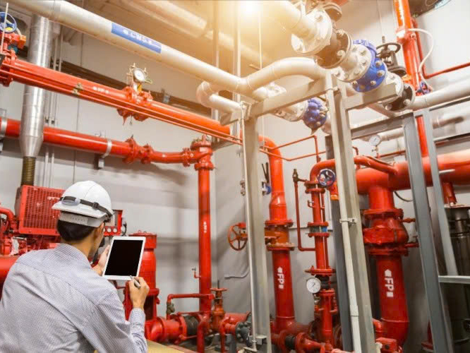 Hình ảnh đại diện