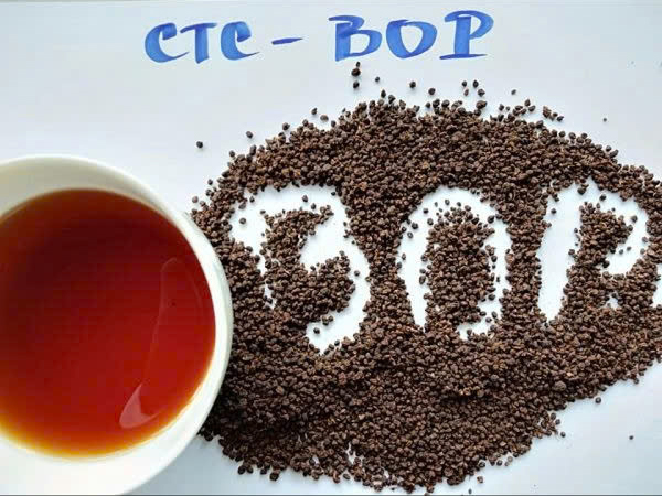 Hình ảnh đại diện