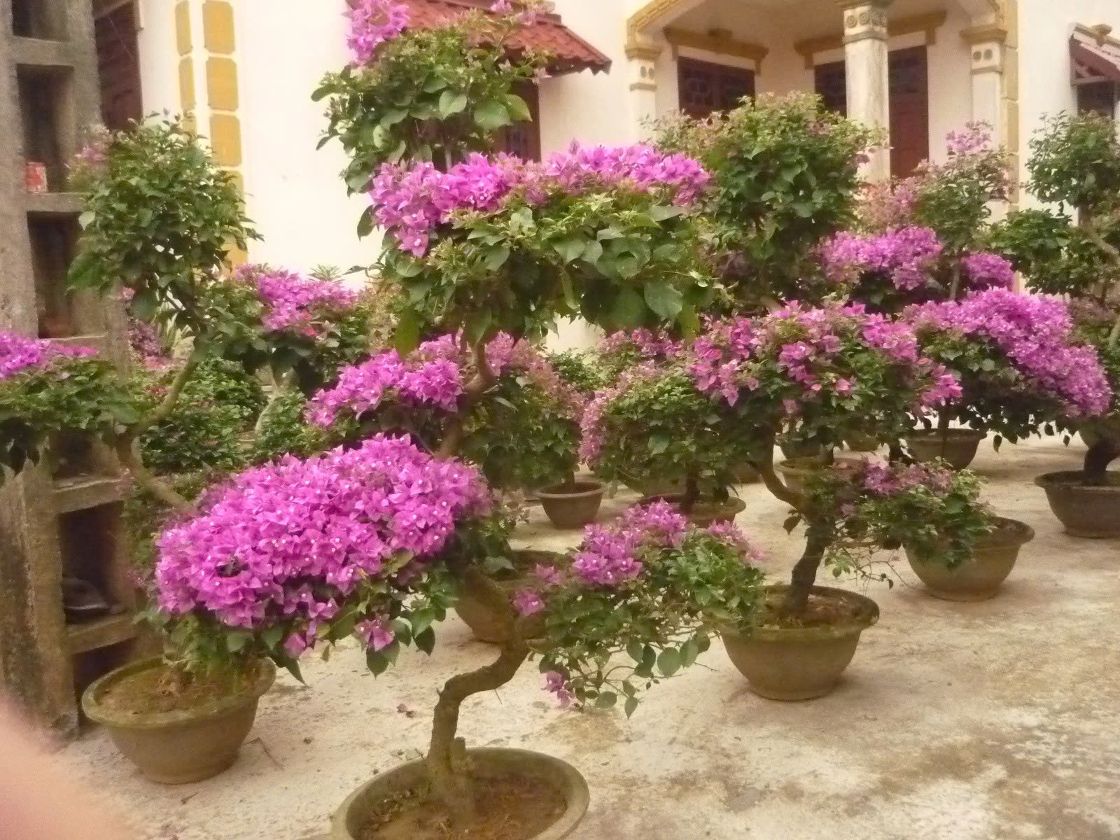 Hình ảnh đại diện