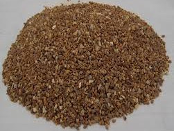 Hình ảnh đại diện