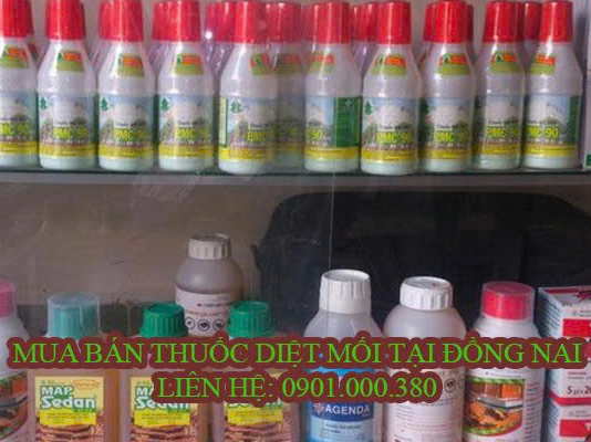 Hình ảnh đại diện