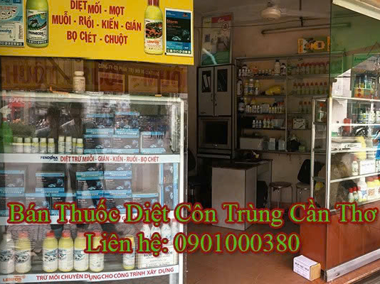 Hình ảnh đại diện