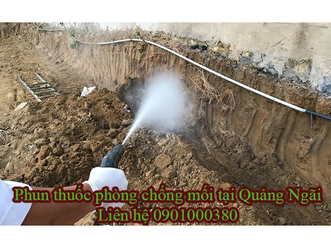Hình ảnh đại diện