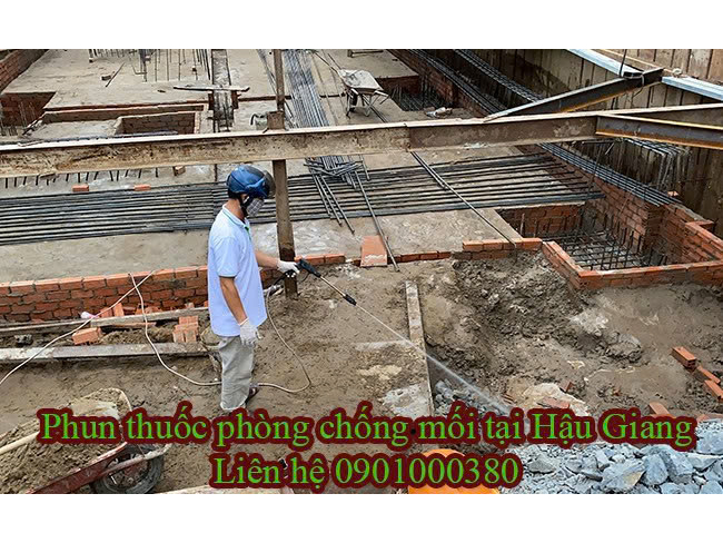 Hình ảnh đại diện