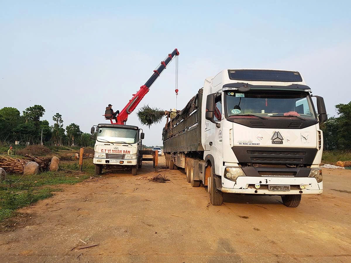 Hình ảnh đại diện