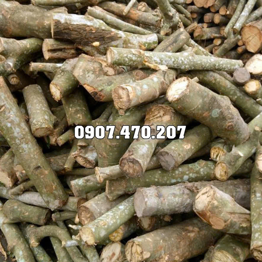 Hình ảnh đại diện