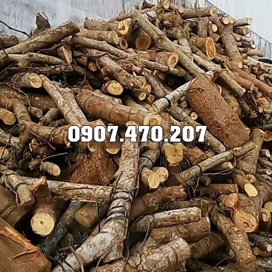 Hình ảnh đại diện