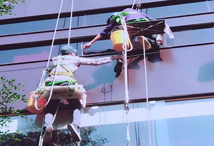 Hình ảnh đại diện