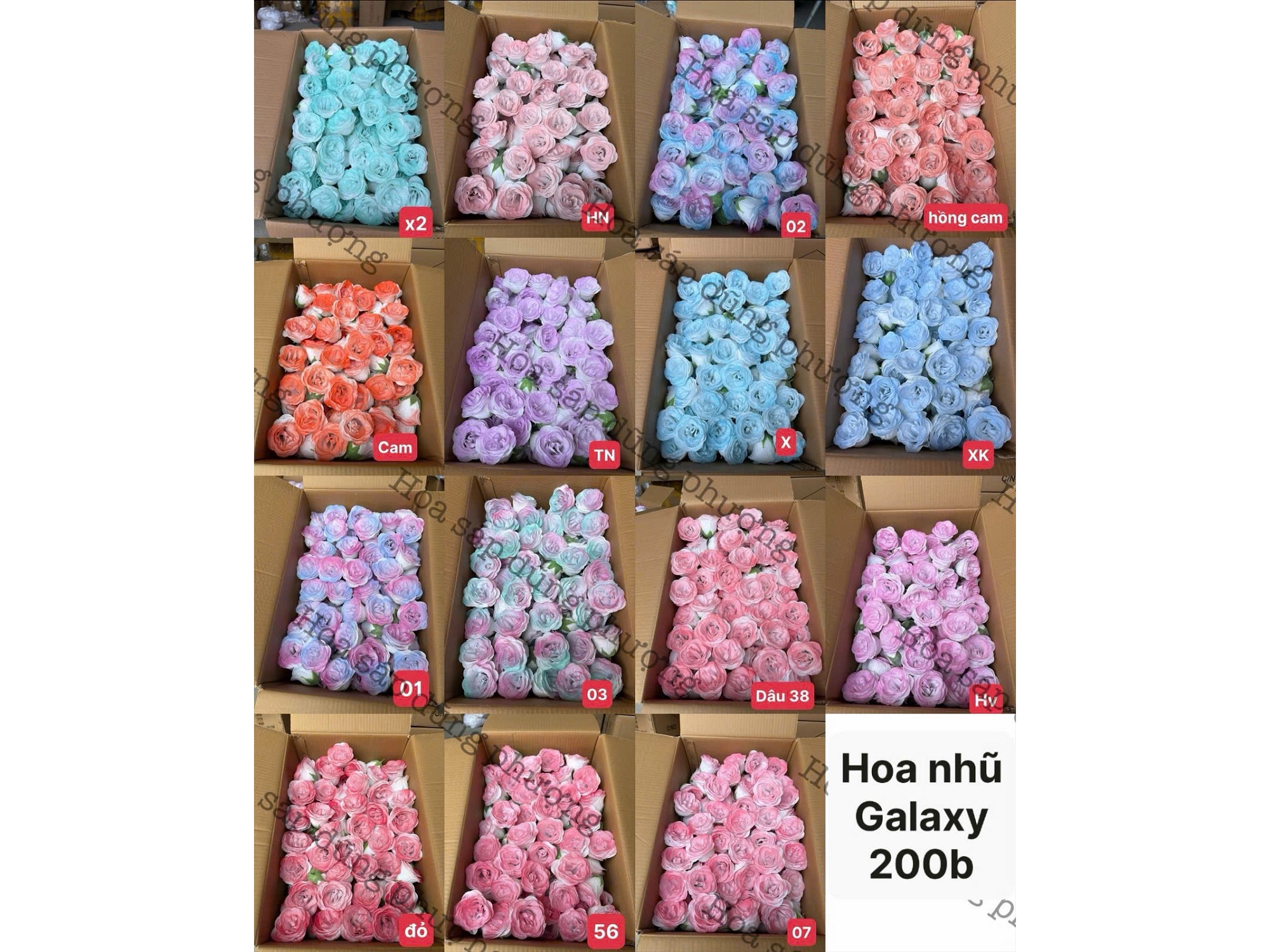 Hình ảnh đại diện