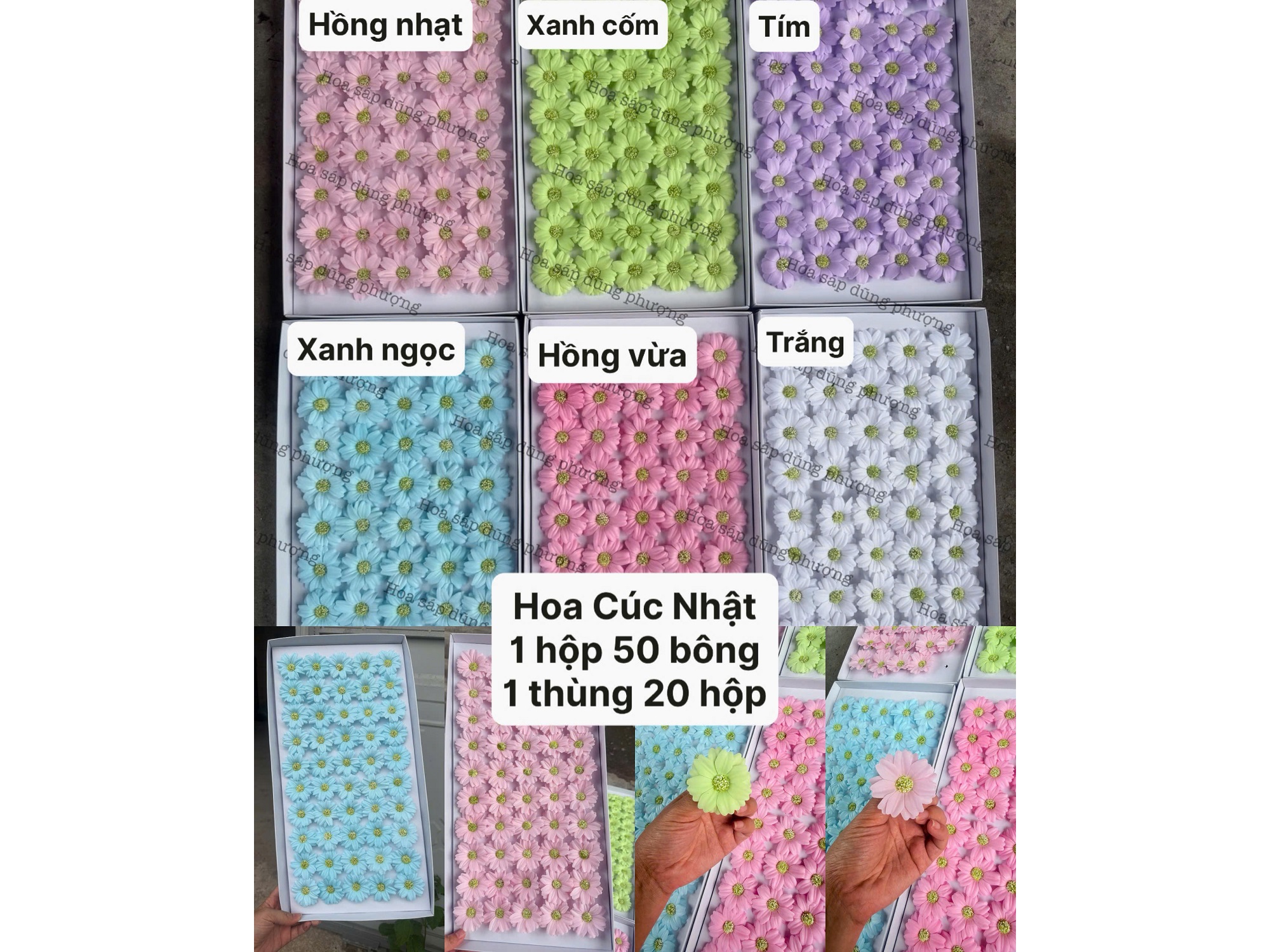Hình ảnh đại diện
