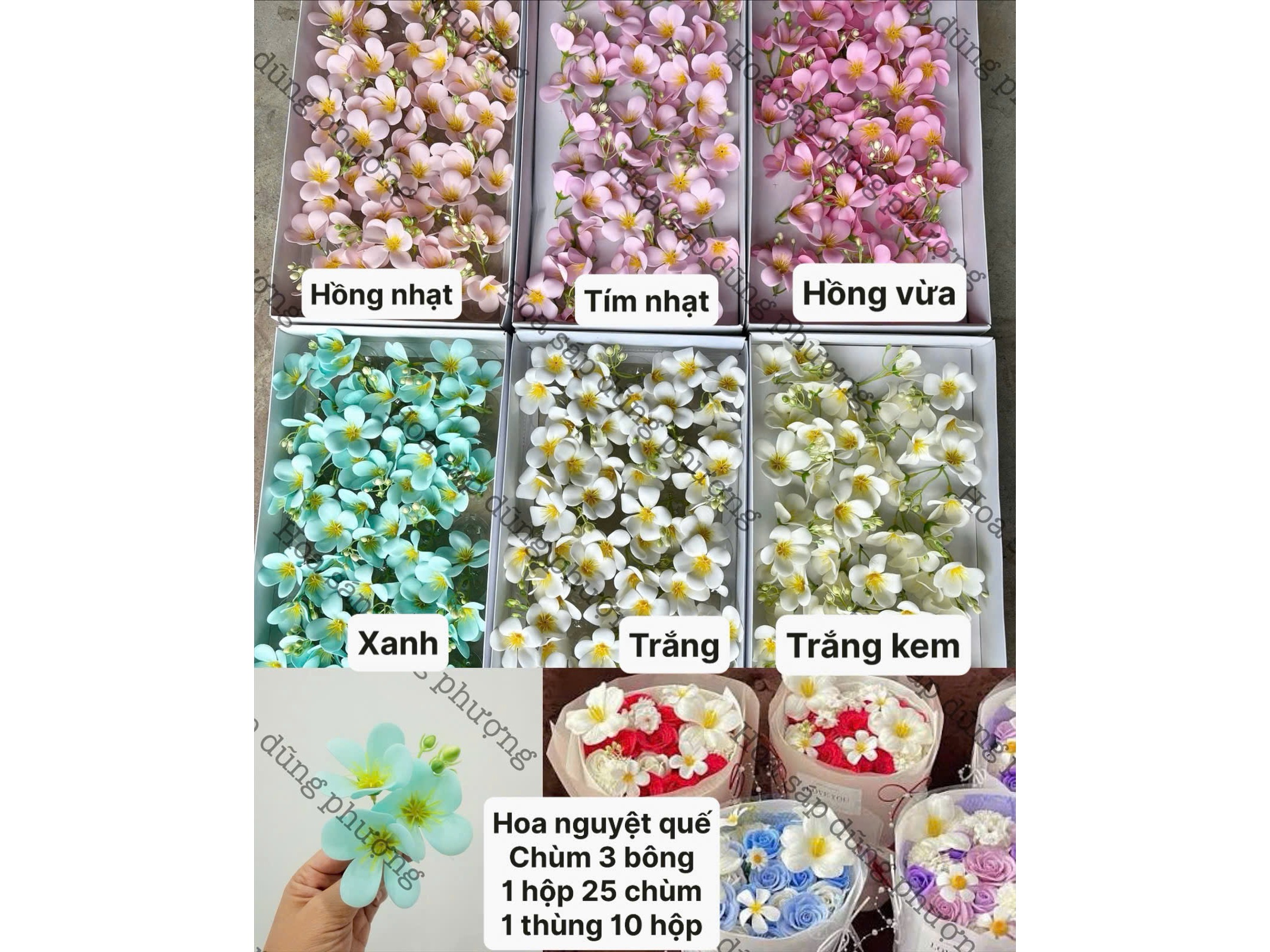 Hình ảnh đại diện