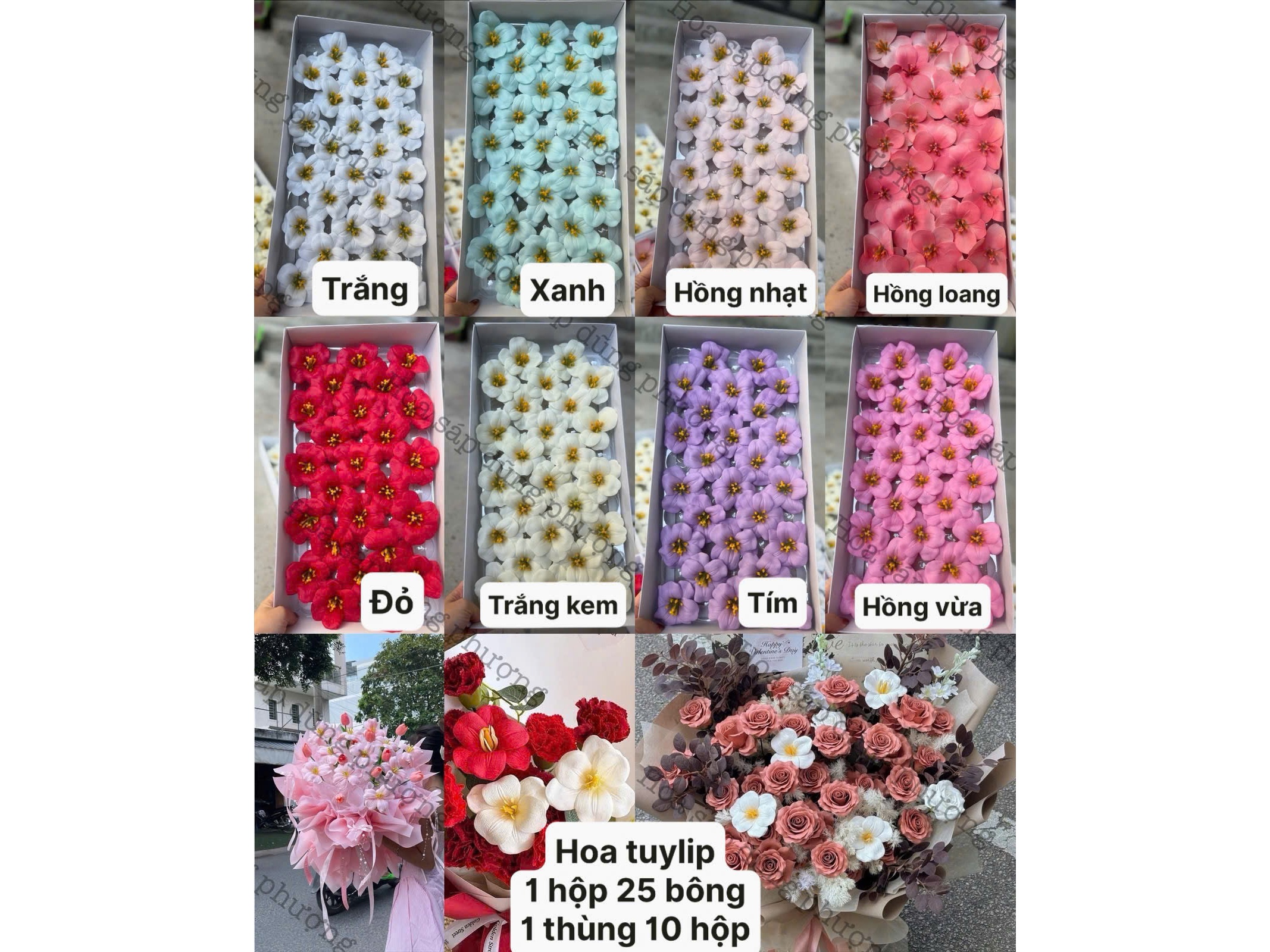 Hình ảnh đại diện