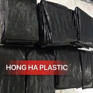 Hình ảnh đại diện