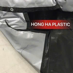 Hình ảnh đại diện