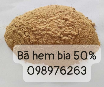 Bã hèm bia