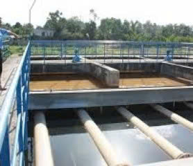 Hình ảnh đại diện