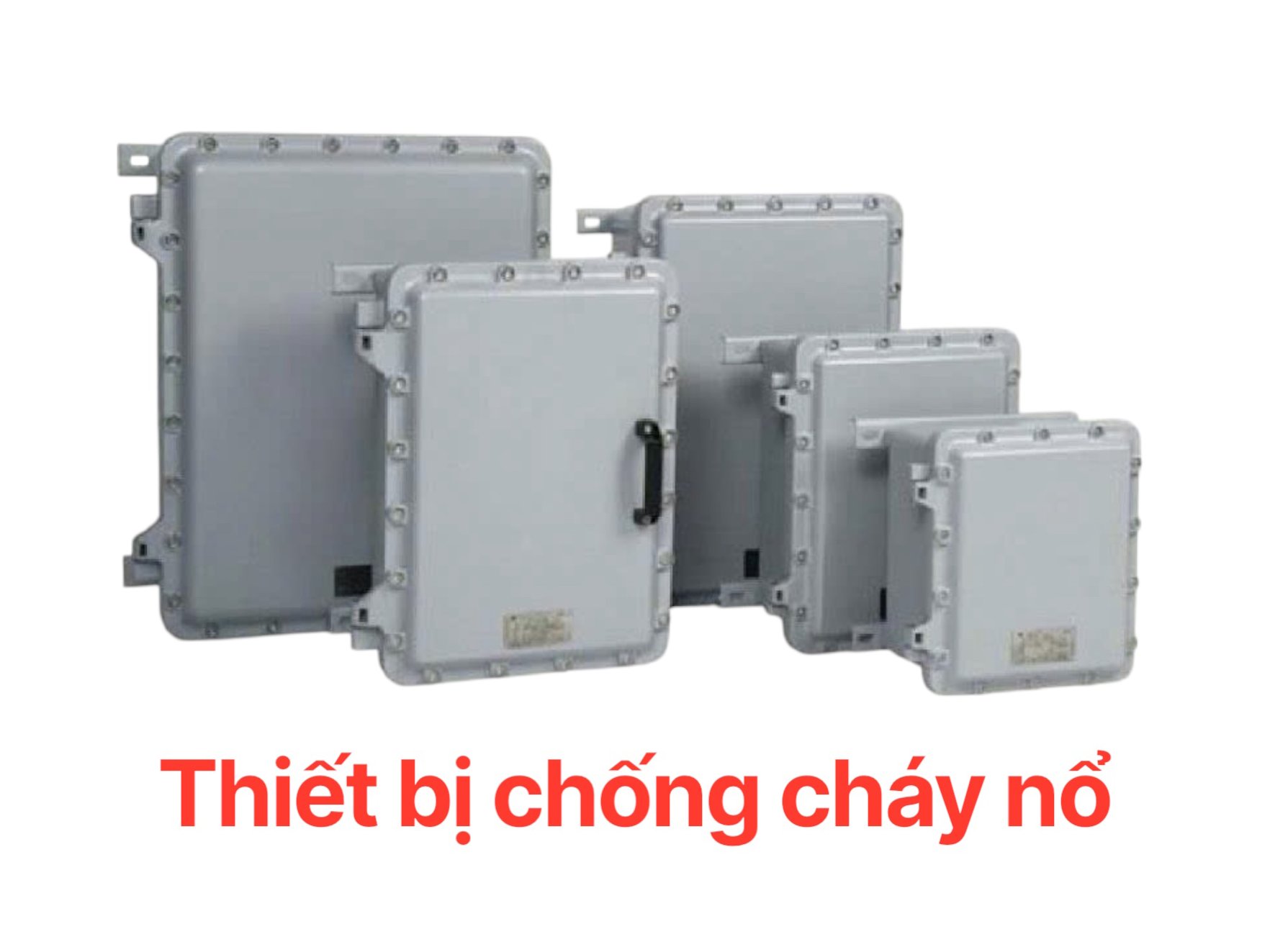 Hình ảnh đại diện