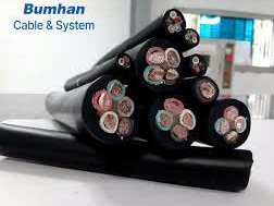 Hình ảnh đại diện