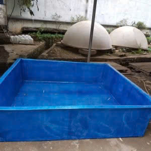 Hình ảnh đại diện
