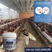 Hình ảnh đại diện