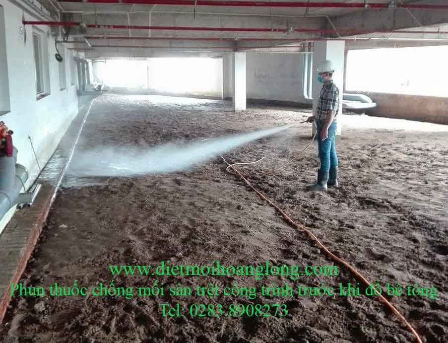 Hình ảnh đại diện