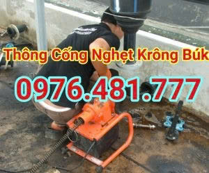Hình ảnh đại diện