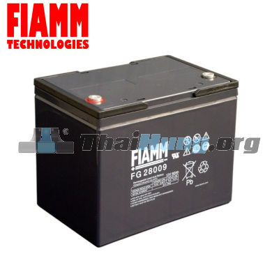 ac-quy-fiamm-70978.jpg
