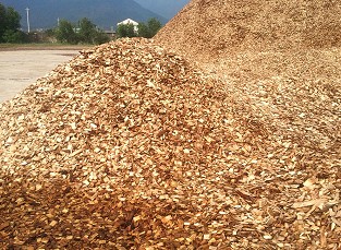 acacia-woodchips-156371.jpg