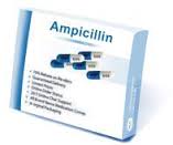 Ampicilin