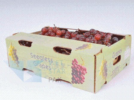 bao-bi-carton-149374.jpg