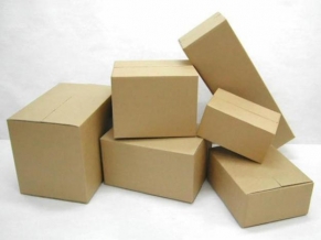 bao-bi-carton-150813.jpg