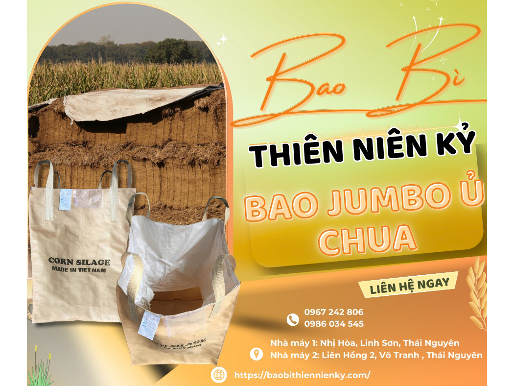 bao_bi_thien_nien_ky_tuan_anh_cong_ty_tnhh_thien_nien_ky_tuan_anh_0961pW02.jpg