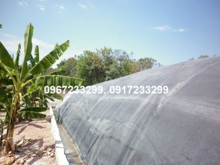 bon_biogas_composite_moi_truong_xanh_cong_ty_tnhh_phat_trien_cong_nghe_khi_sinh_hoc_moi_truong_xanh_20g3eUO9.jpg