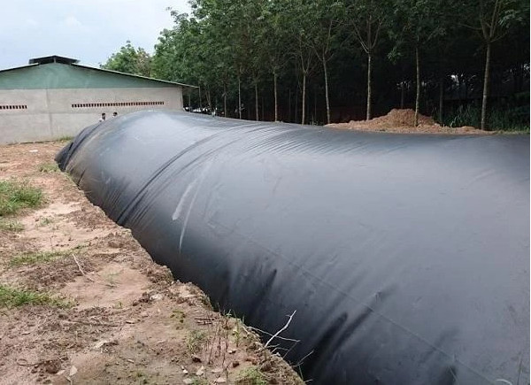 Biogas bạt nhựa HDPE