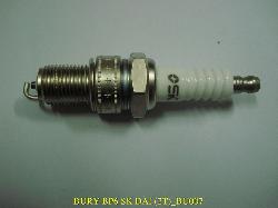 buri-58123.jpg