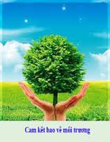 cam-ket-bao-ve-moi-truong-89661.jpg