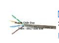 cap-mang-soi-mem-patch-cable-cat.5e-utp-109411.jpg
