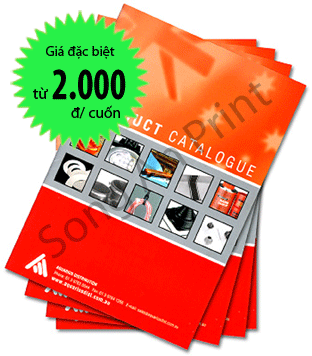 catalogue-100490.jpg